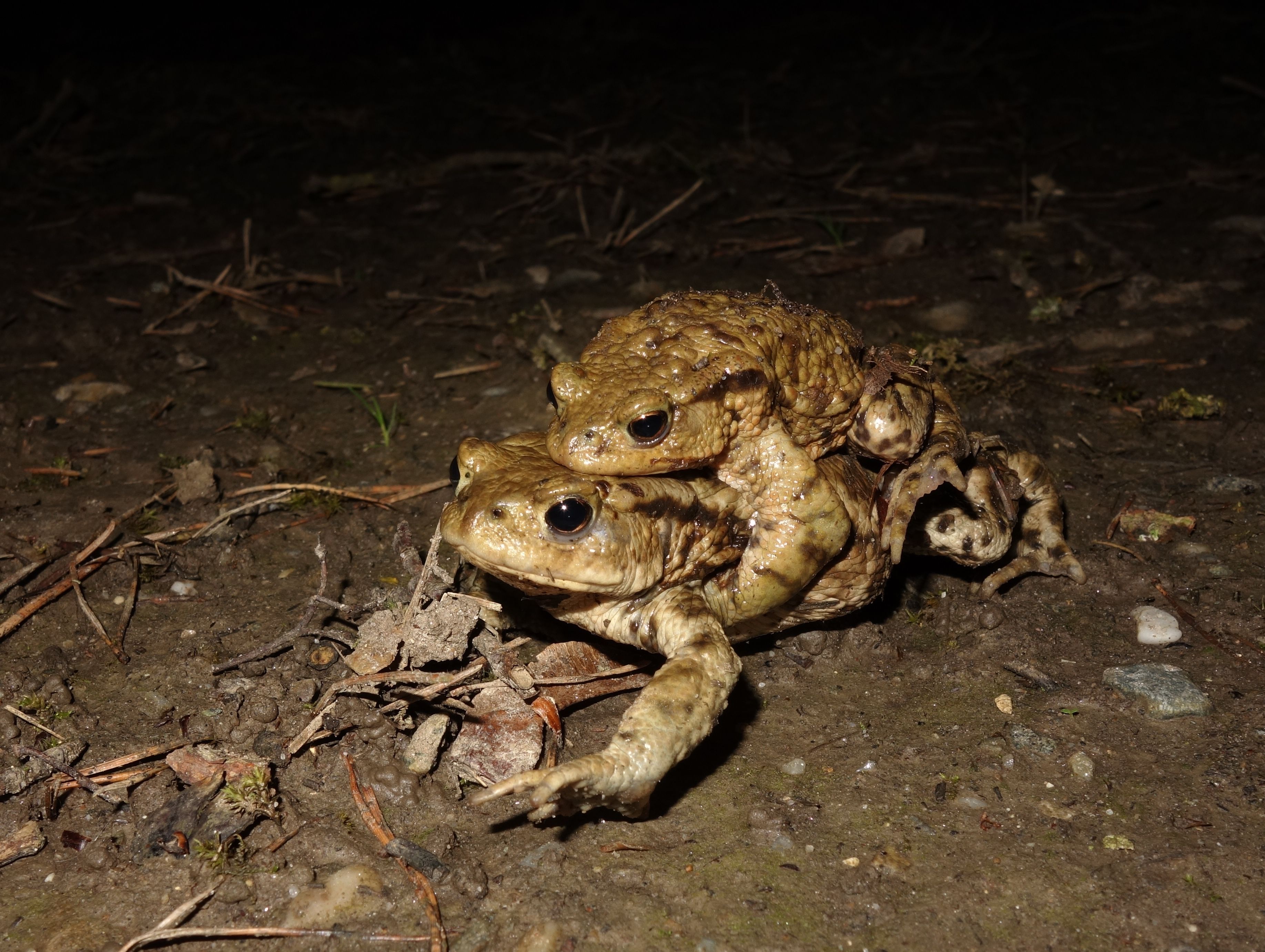 Foto: Dr. Andreas Zahn