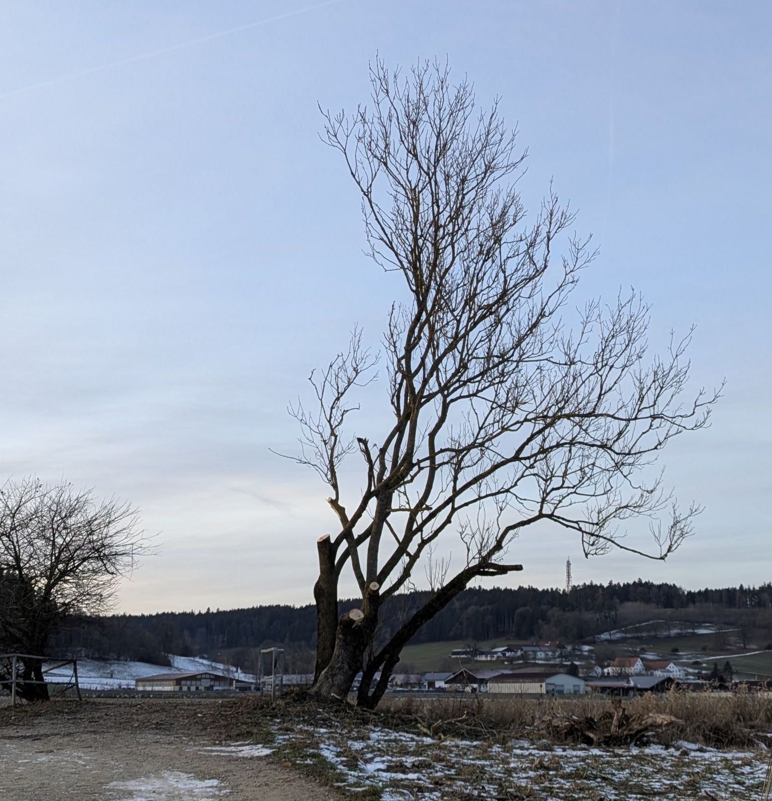 Foto: Dr. Andreas Zahn