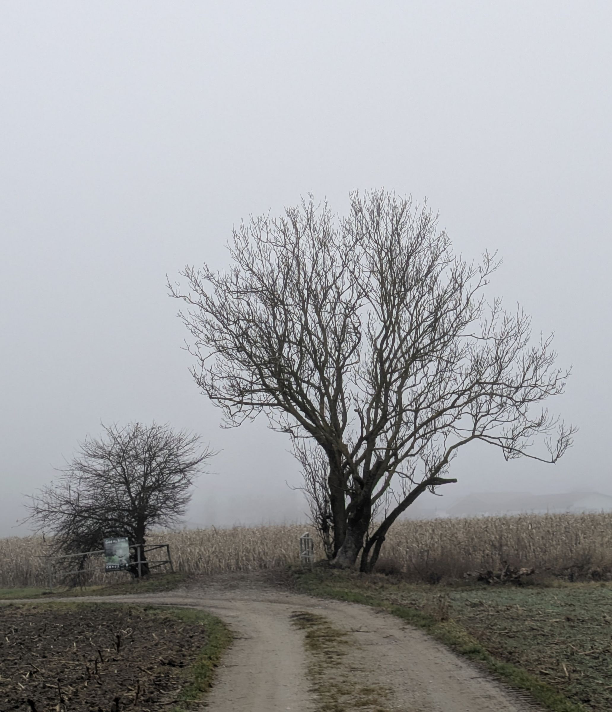 Foto: Dr. Andreas Zahn