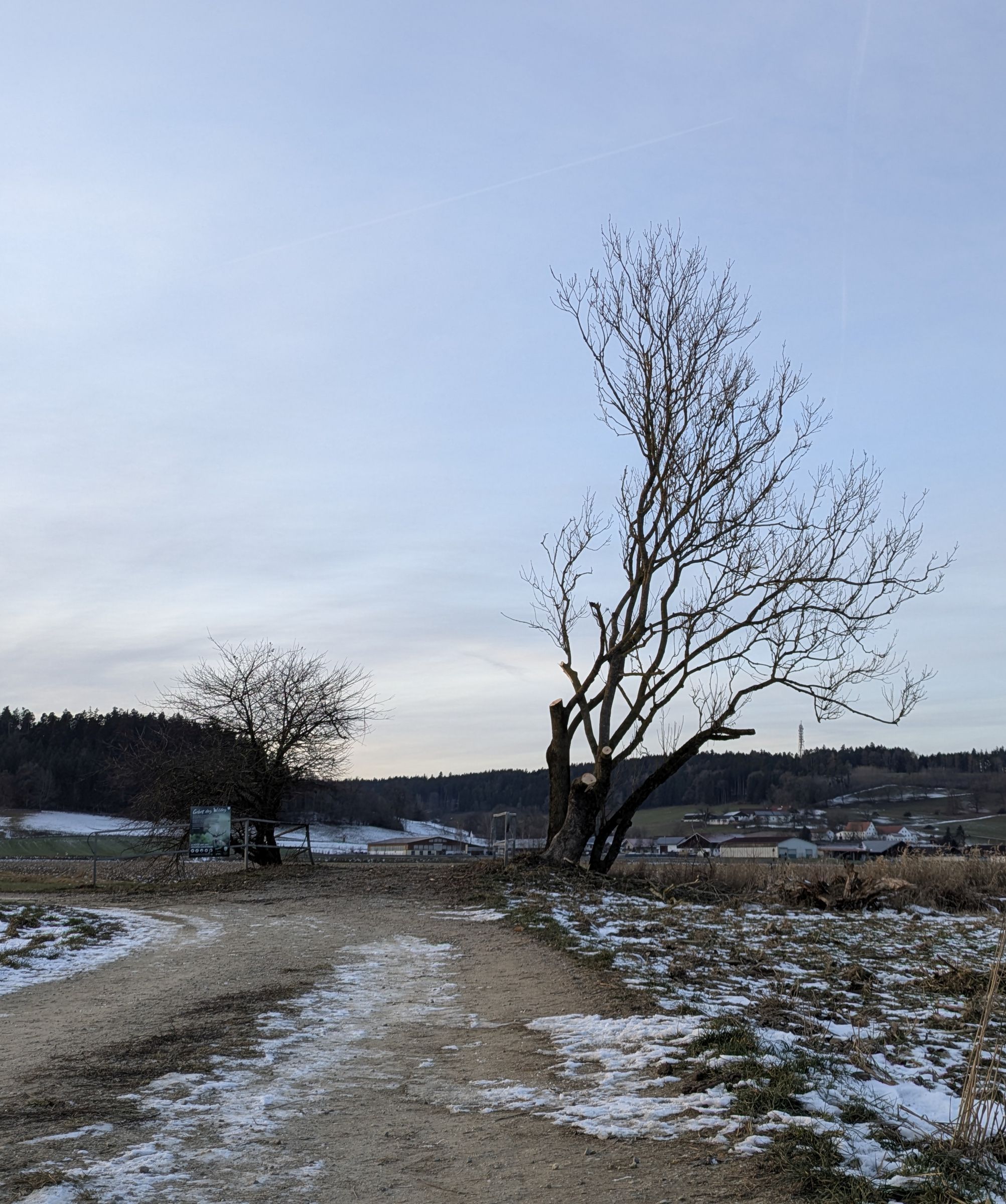 Foto: Dr. Andreas Zahn Foto: Dr. Andreas Zahn