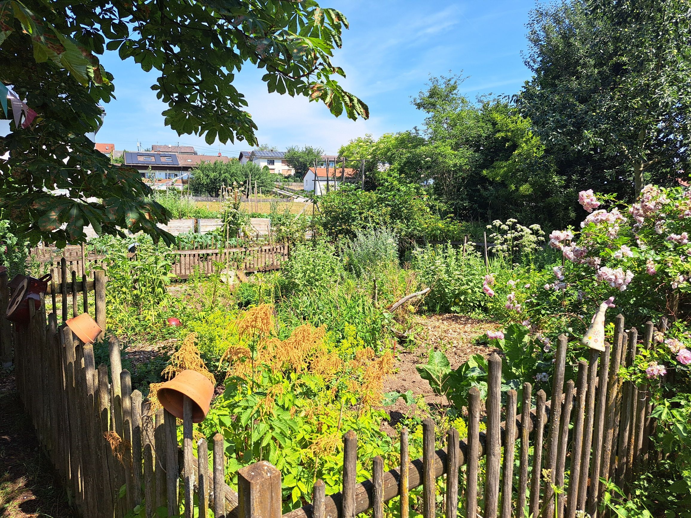 Der wunderschöne Kräutergarten - Foto: Christine Huber Der wunderschöne Kräutergarten - Foto: Christine Huber