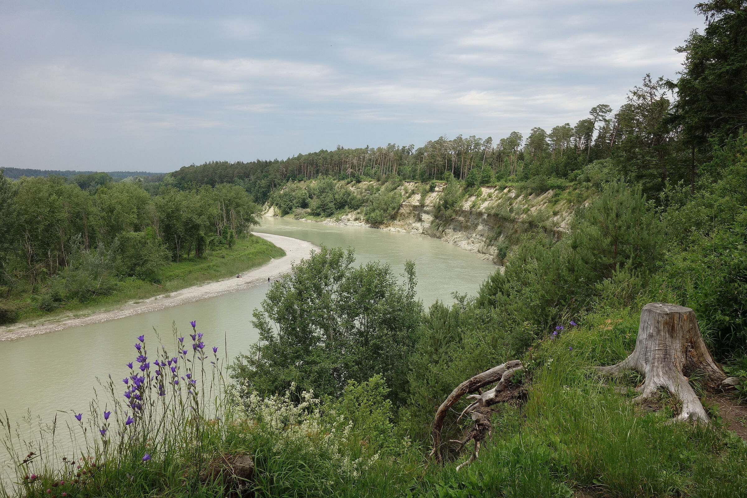 Innauen und Leitenwälder - Foto: Zahn