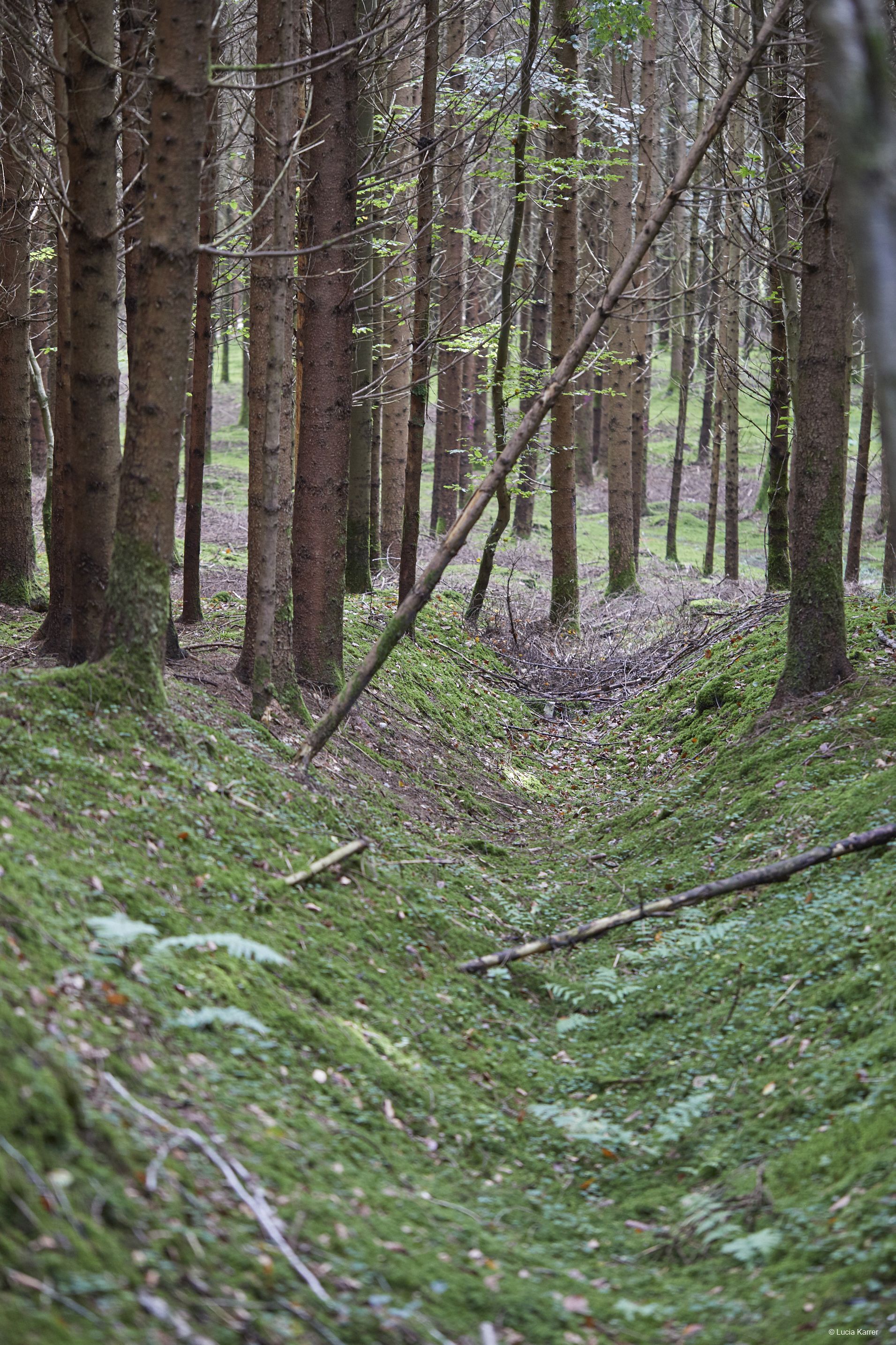 Foto: Lucia Karrer Foto: Lucia Karrer