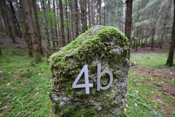 Foto: Lucia Karrer Foto: Lucia Karrer