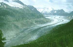 Foto: Dr. Johann Wierer