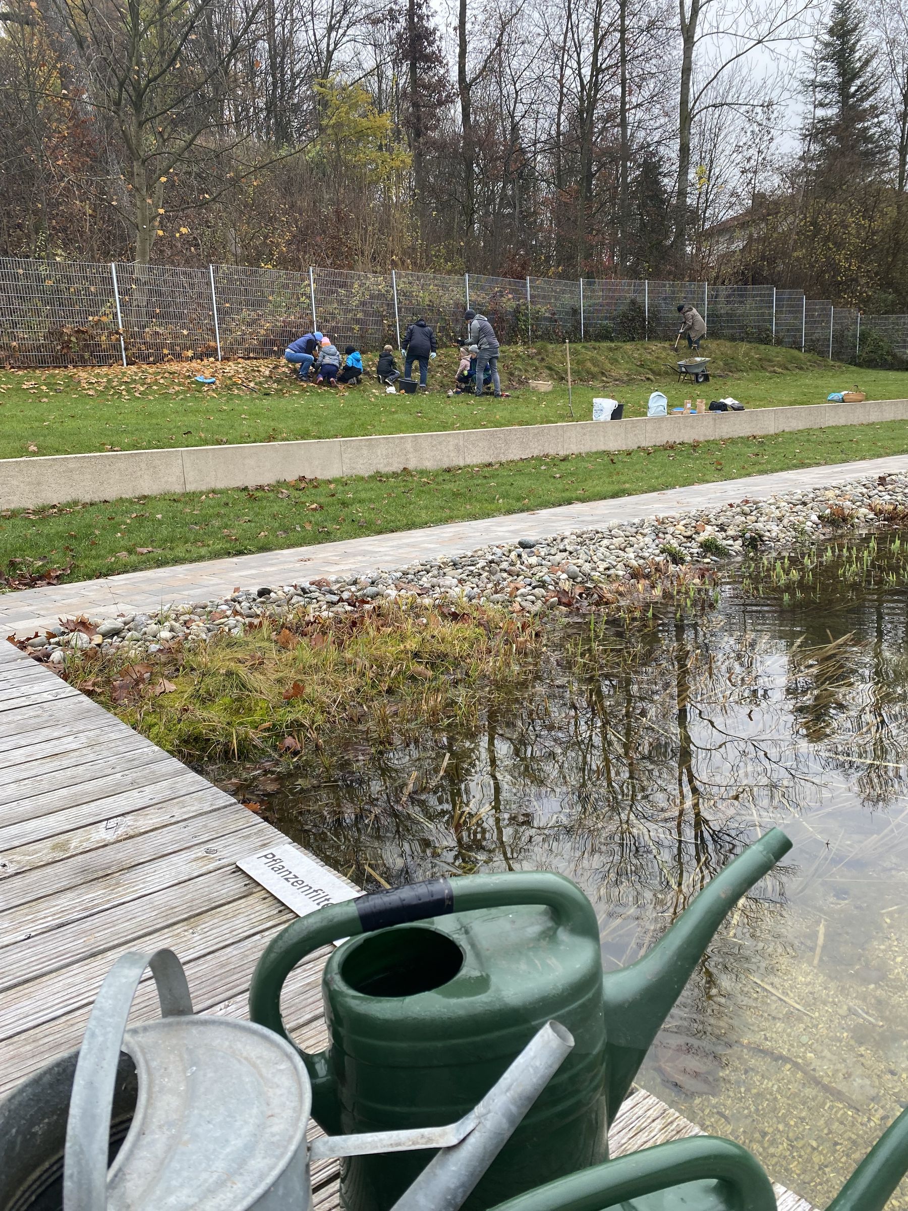 Pflanzung im Naturbad Pflanzung im Naturbad